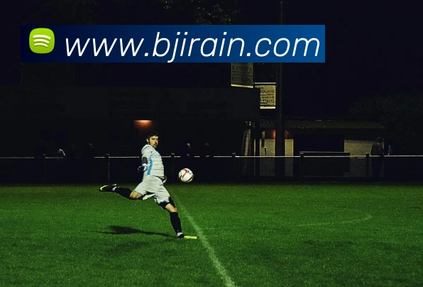 多媒体互动体验